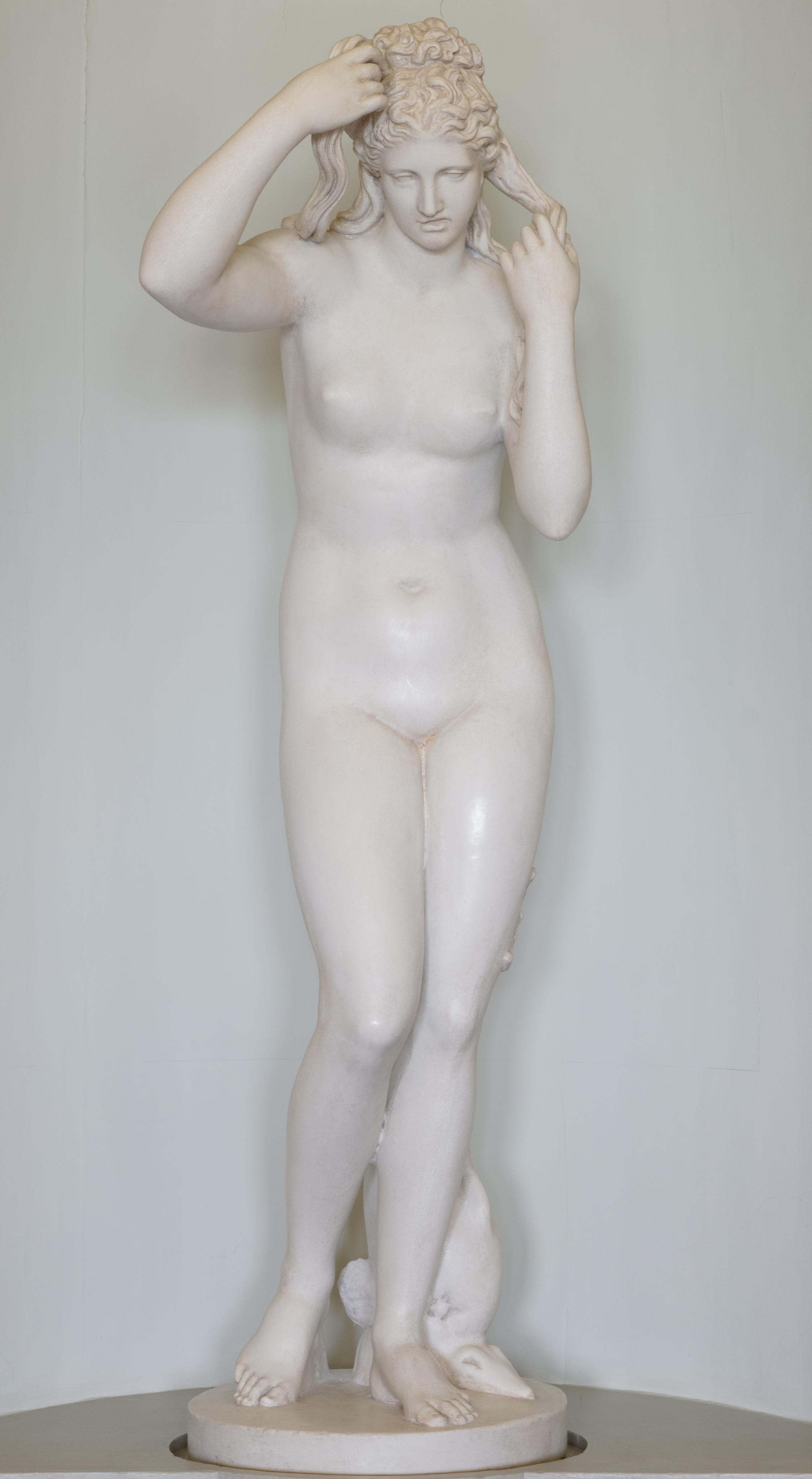 Marine Venus